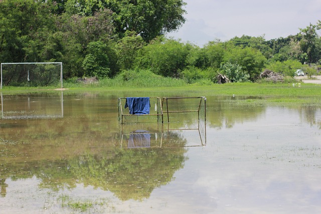 可以发现球 可以发现球
