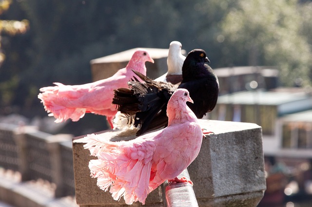 数据显示 数据显示