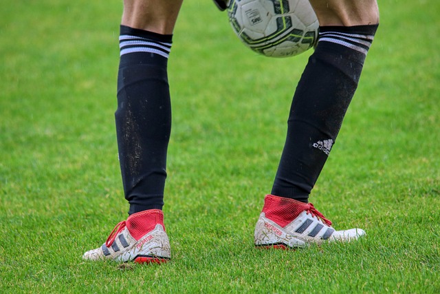 的新聞不僅 的新聞不僅