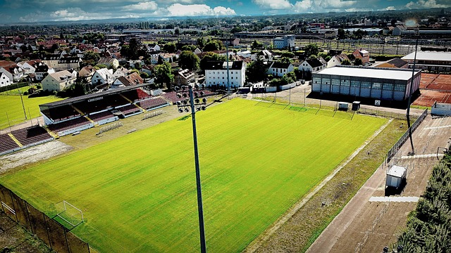 体育文化浓 体育文化浓