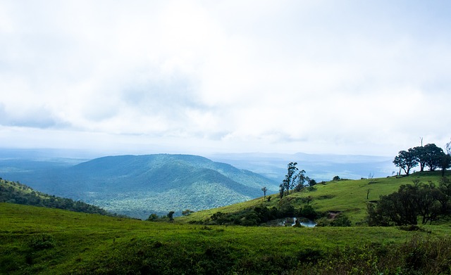 运动员与大 运动员与大