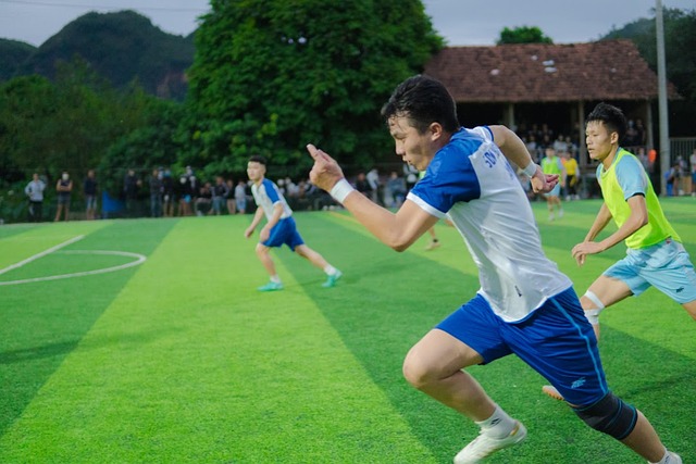 人才的培养 人才的培养