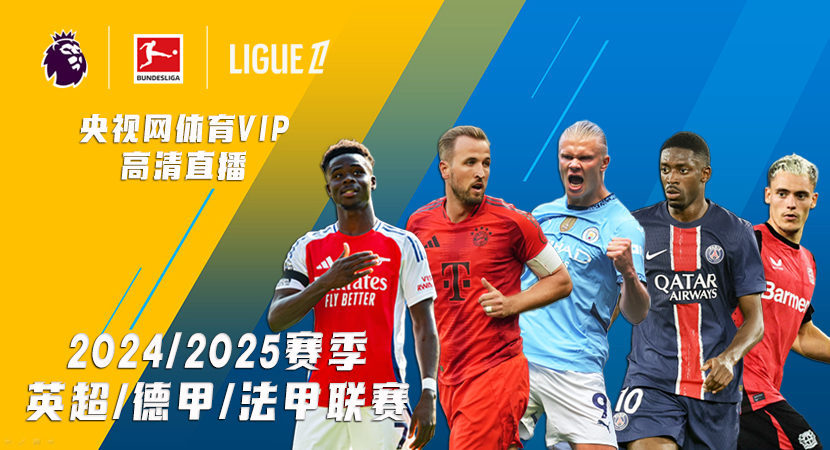 阿根廷队的 阿根廷队的