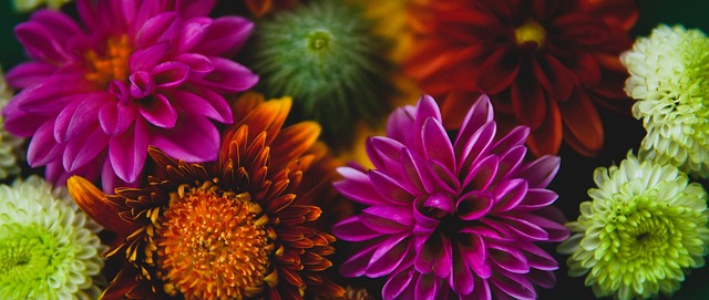 化为有效得 化为有效得